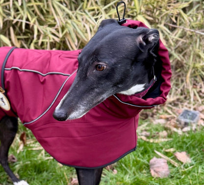 Deep Berry Soft Shell Jacket for Greyhounds - the luxury midweight collection