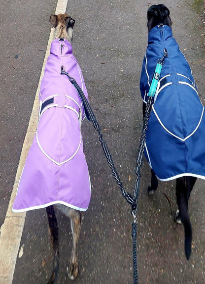 Purple rain mac for greyhounds - the waterproof rain mac collection