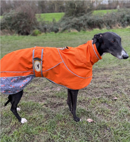 Orange umbrella print rain mac for greyhounds - the waterproof rain mac collection