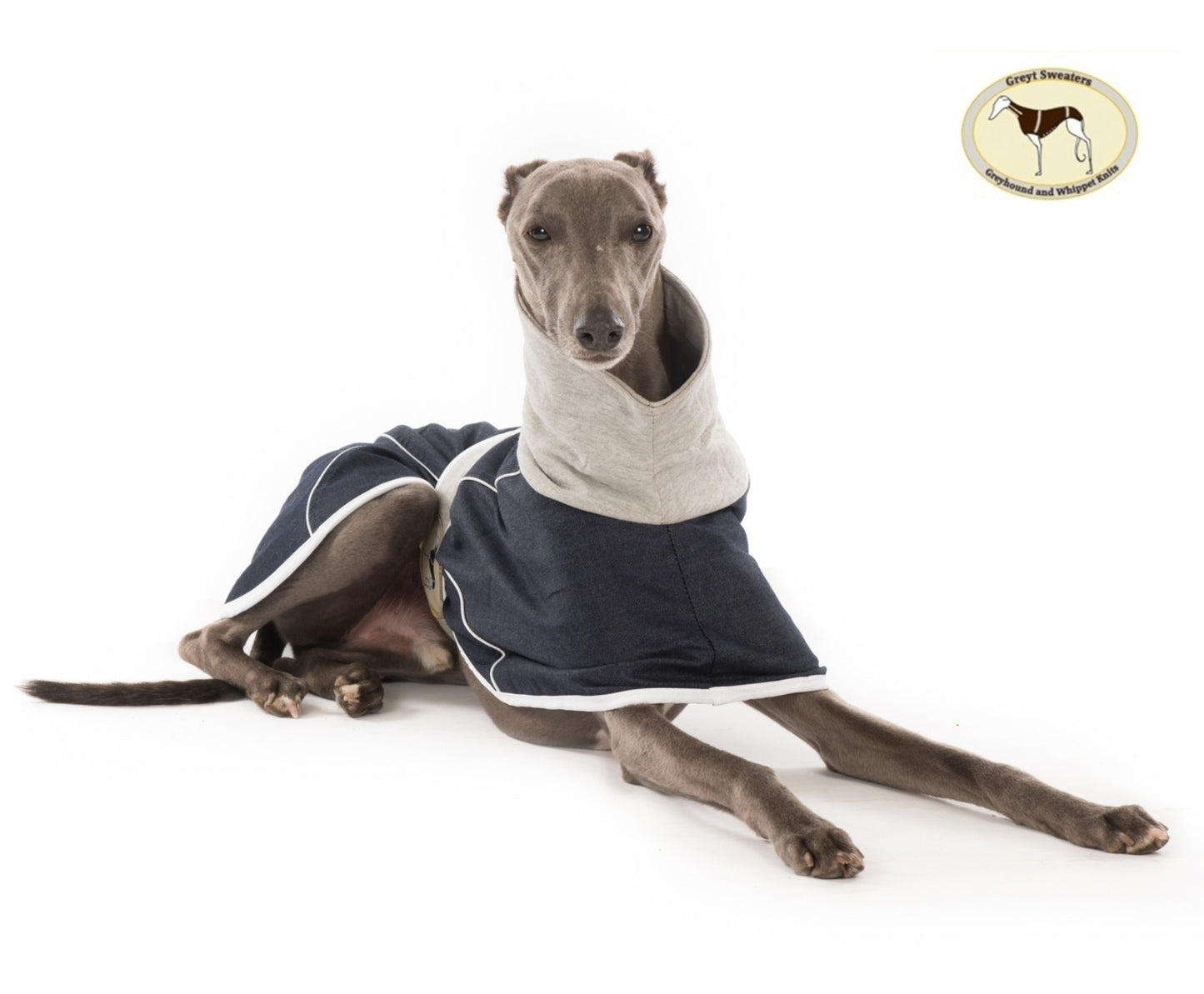 Indigo Blue Denim Coat for Greyhounds and whippets - the denim housecoat collection