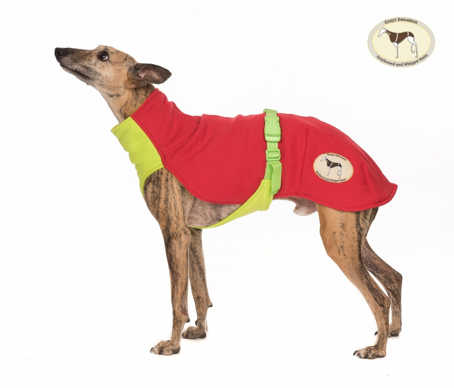 Sweat /Tee shirt for greyhounds, red&green - the sweat tee shirt collection