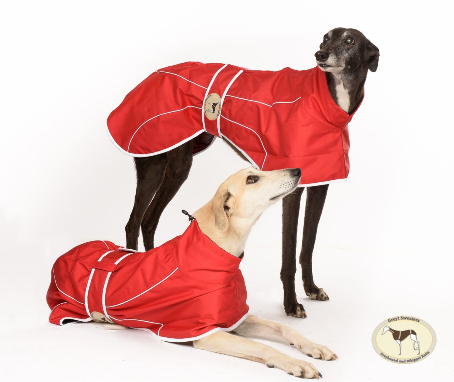 Crimson Red Rain Mac for Whippets - the waterproof rain mac collection