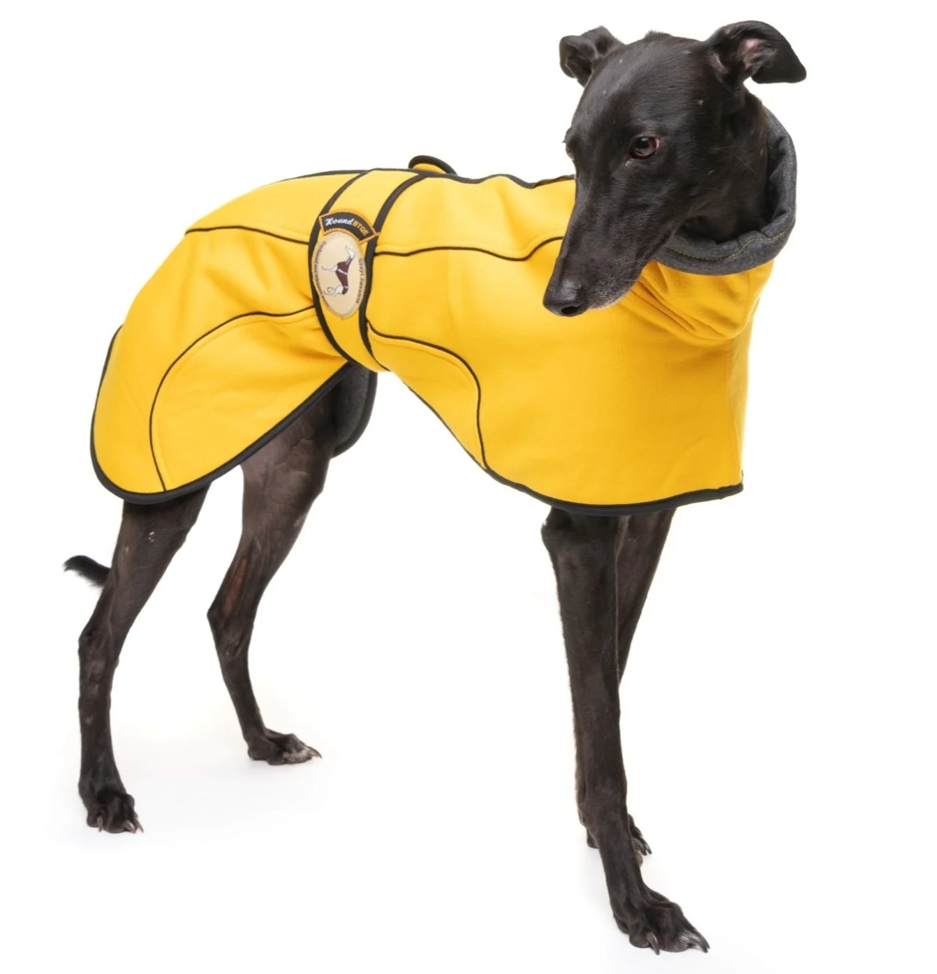 Sunny Yellow Jersey Fleece for Greyhounds - the jersey housecoat collection