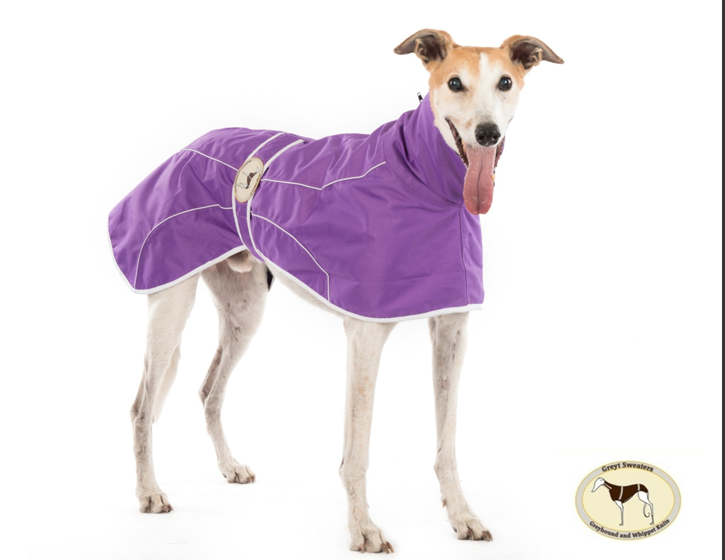 Purple rain mac for greyhounds - the waterproof rain mac collection