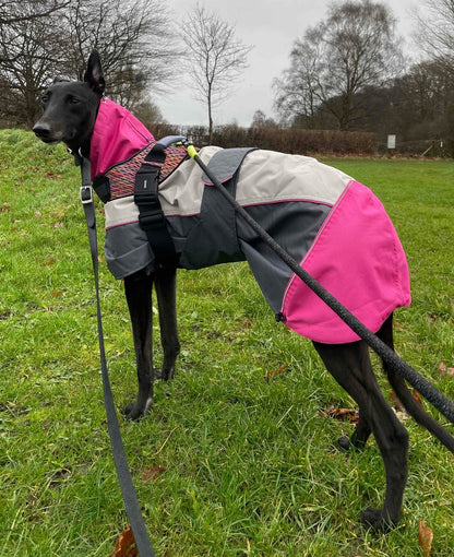 Rain coat for whippets, pink/grey - the waterproof rain coat collection