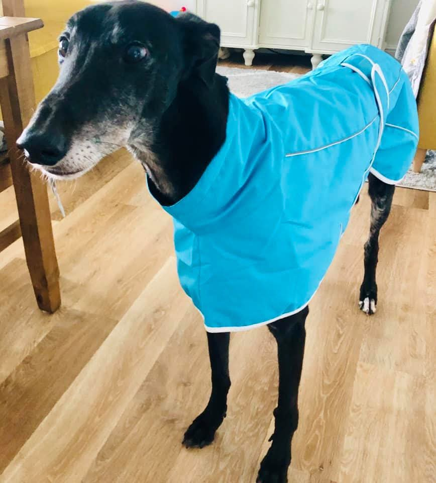 Ferozi Rain Mac for Greyhounds - the waterproof rain mac collection