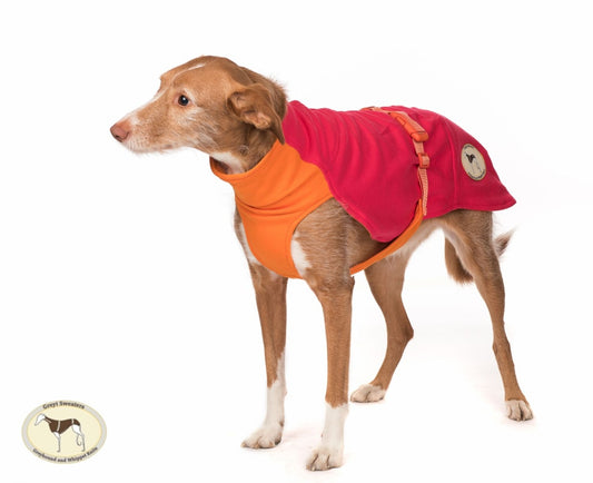 Sweat/Tee shirt for greyhounds, pink+orange - the sweat tee shirt collection