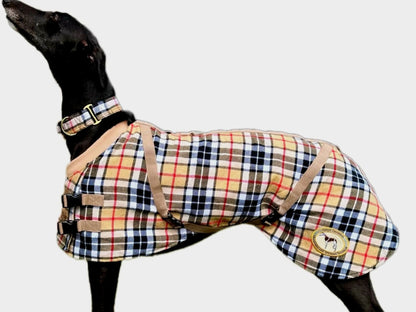 Beige/Brown Checked Twill Coat & matching Martingale Collar for Greyhounds-the lighter layer collection