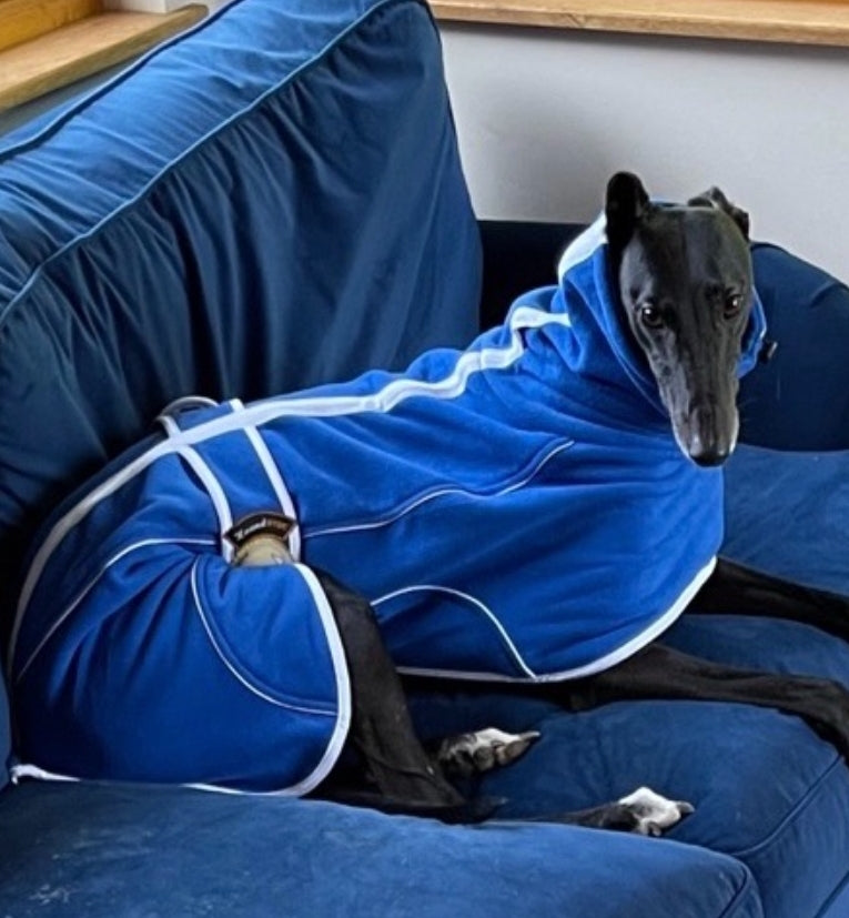 Royal Blue Fleece Housecoat for Greyhounds and whippets - the fleece housecoat collection