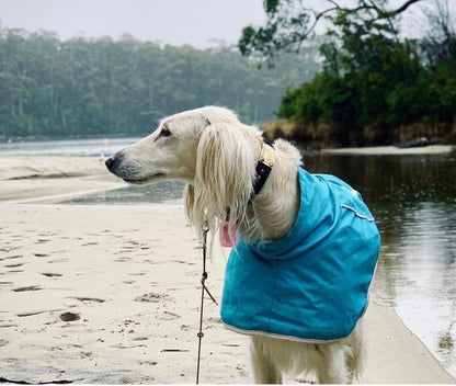 Ferozi Rain Mac for Greyhounds - the waterproof rain mac collection