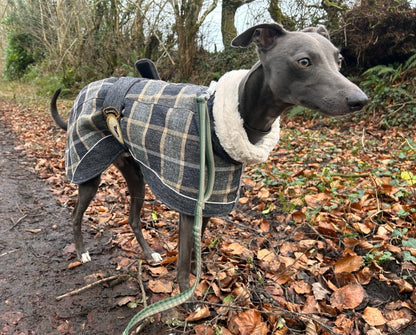 Ash Tweed coat for greyhounds-the luxury tweed collection