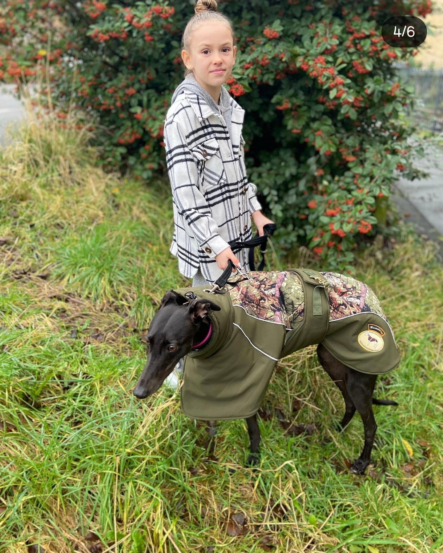 Sage or Brown Soft Shell Luxury Jacket for Whippets