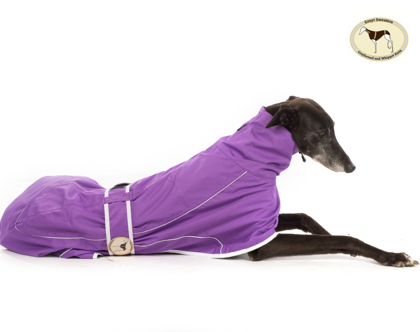 Purple rain mac for greyhounds - the waterproof rain mac collection