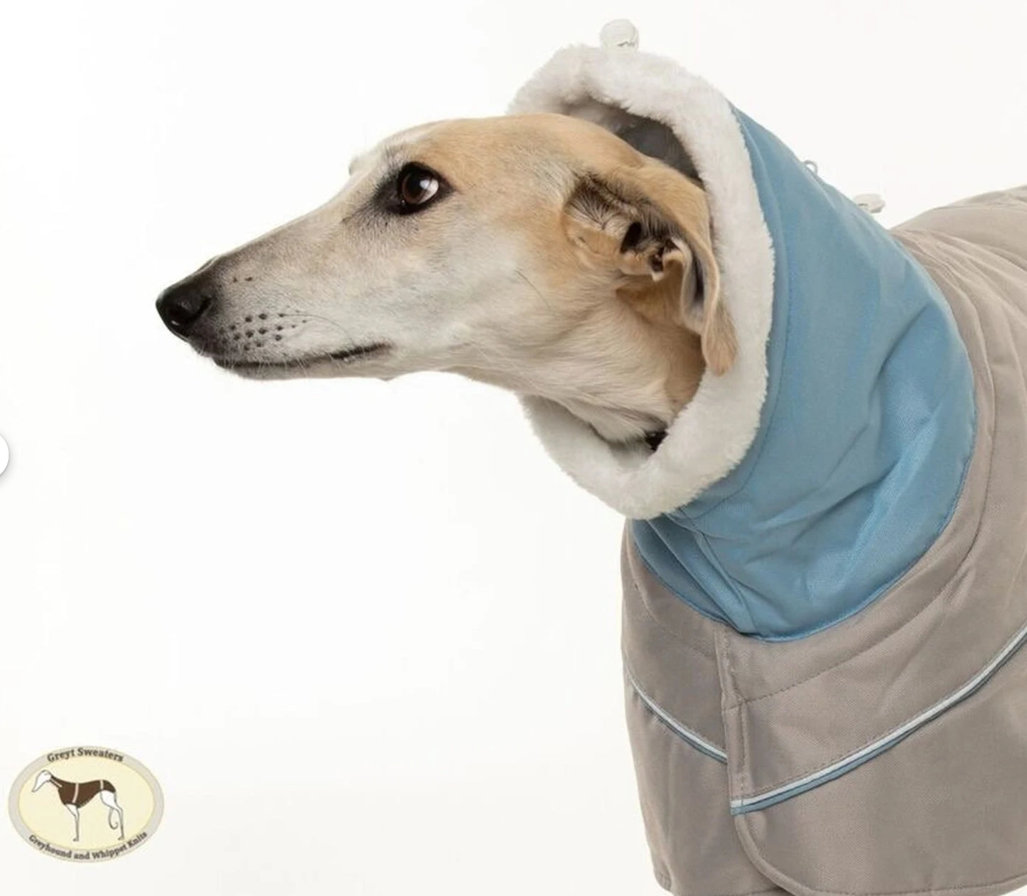 Waterproof Padded Luxury Jacket for Greyhounds sky blue /grey - the luxury winter jacket collection