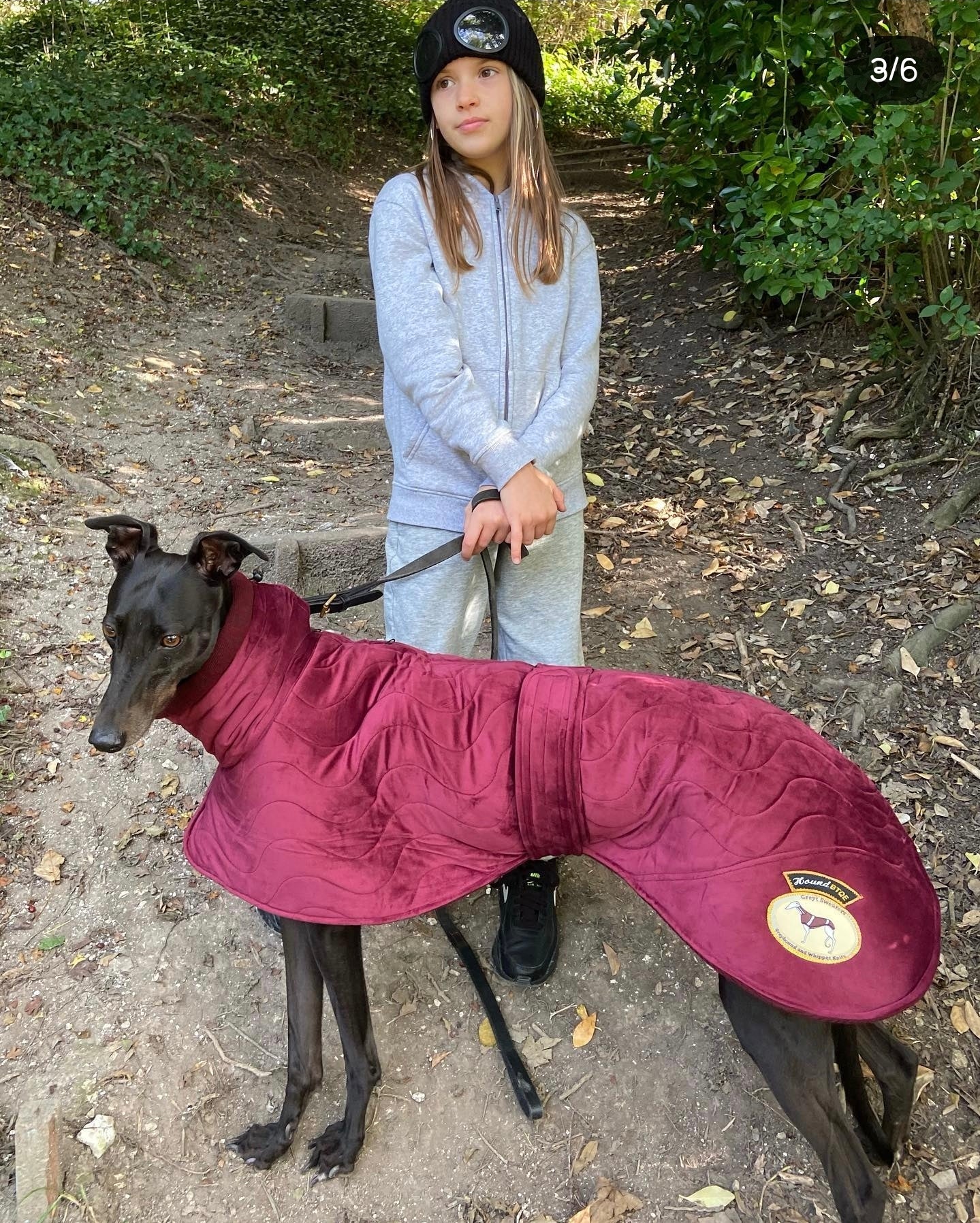 Ruby velvet knit jacket for whippets - the luxury regal collection