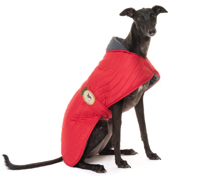 Scarlet Red Quilted Jacket for Whippets - the premium quilted collection