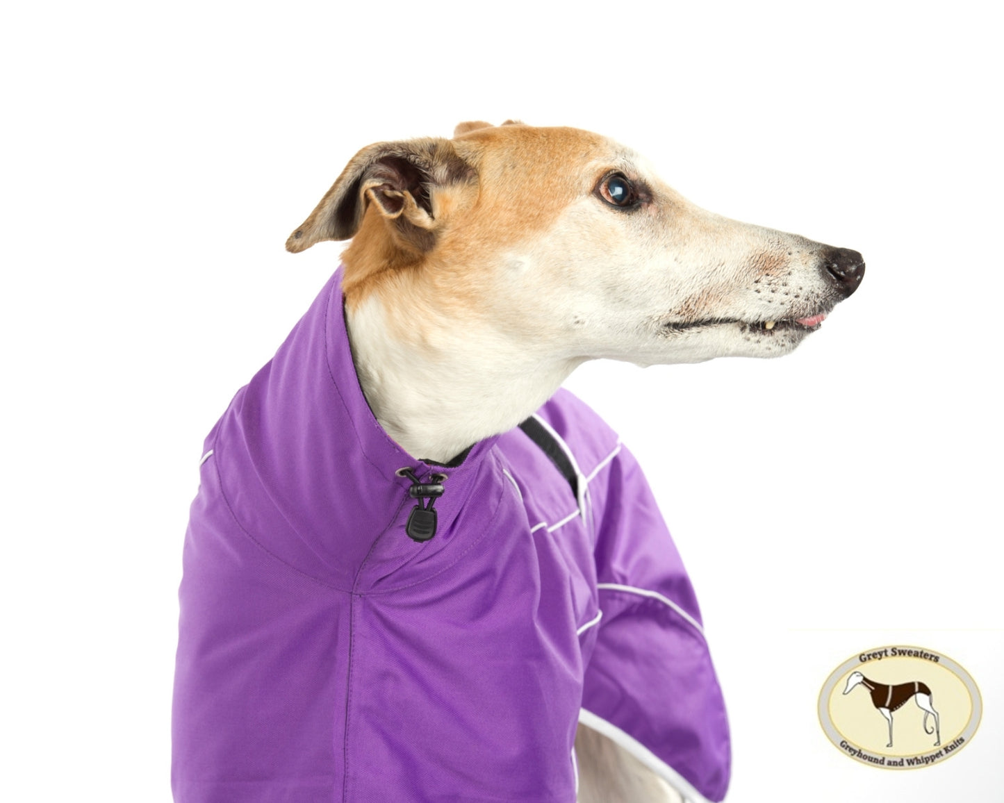 Purple rain mac for greyhounds - the waterproof rain mac collection