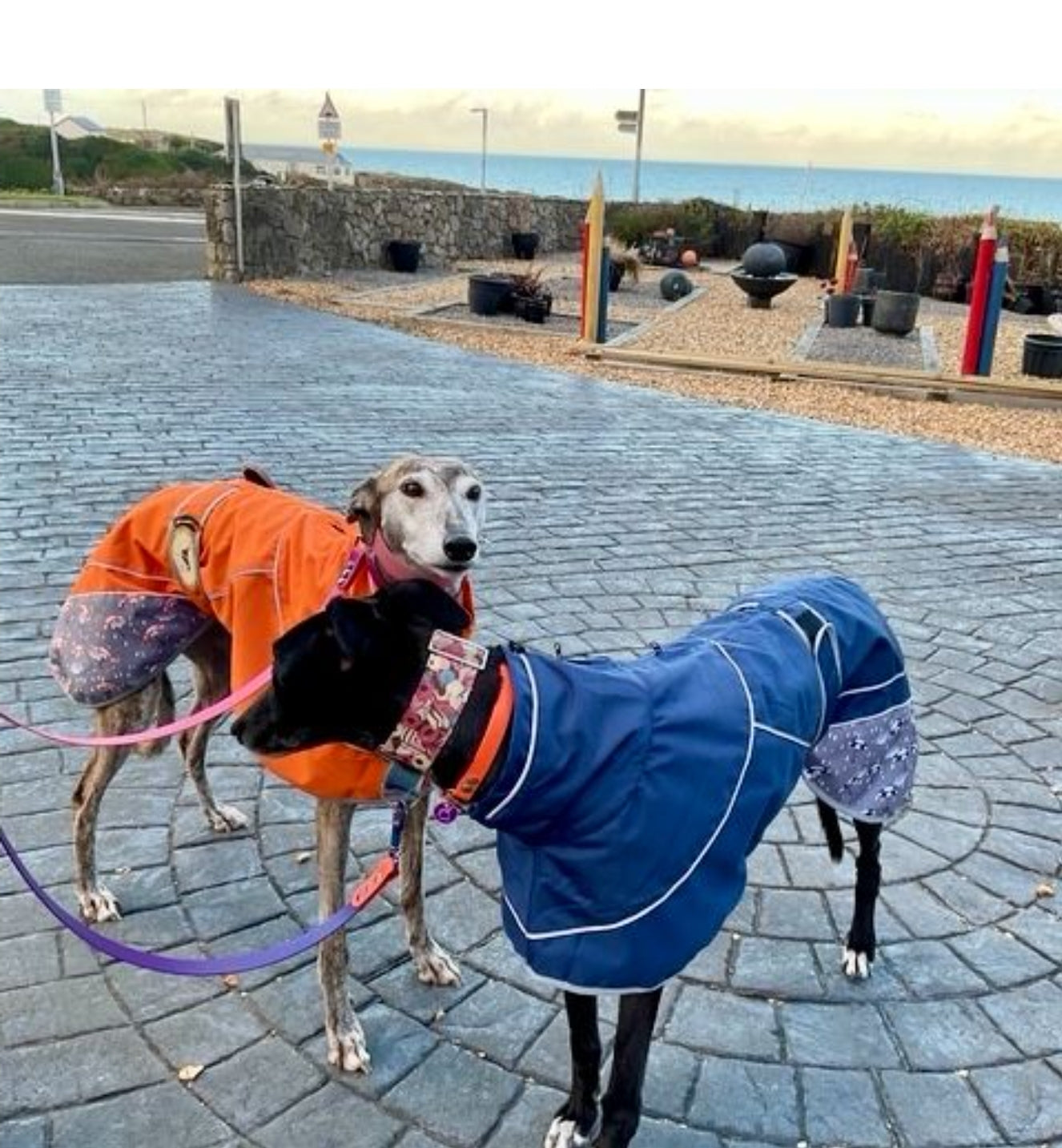 Navy Blue Umbrella Print Rain Mac for Whippets - the waterproof rain mac collection