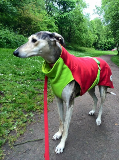 Sweat /Tee shirt for whippets red&lime green- the sweat tee shirt collection