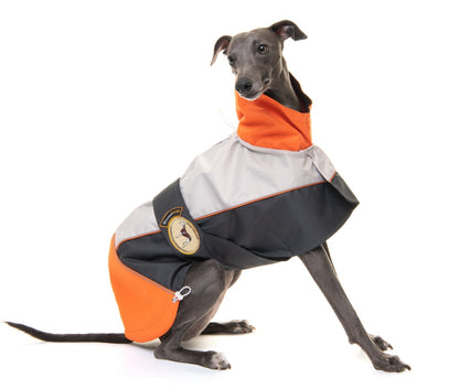 Rain coat for whippets, grey/orange - the waterproof rain coat collection