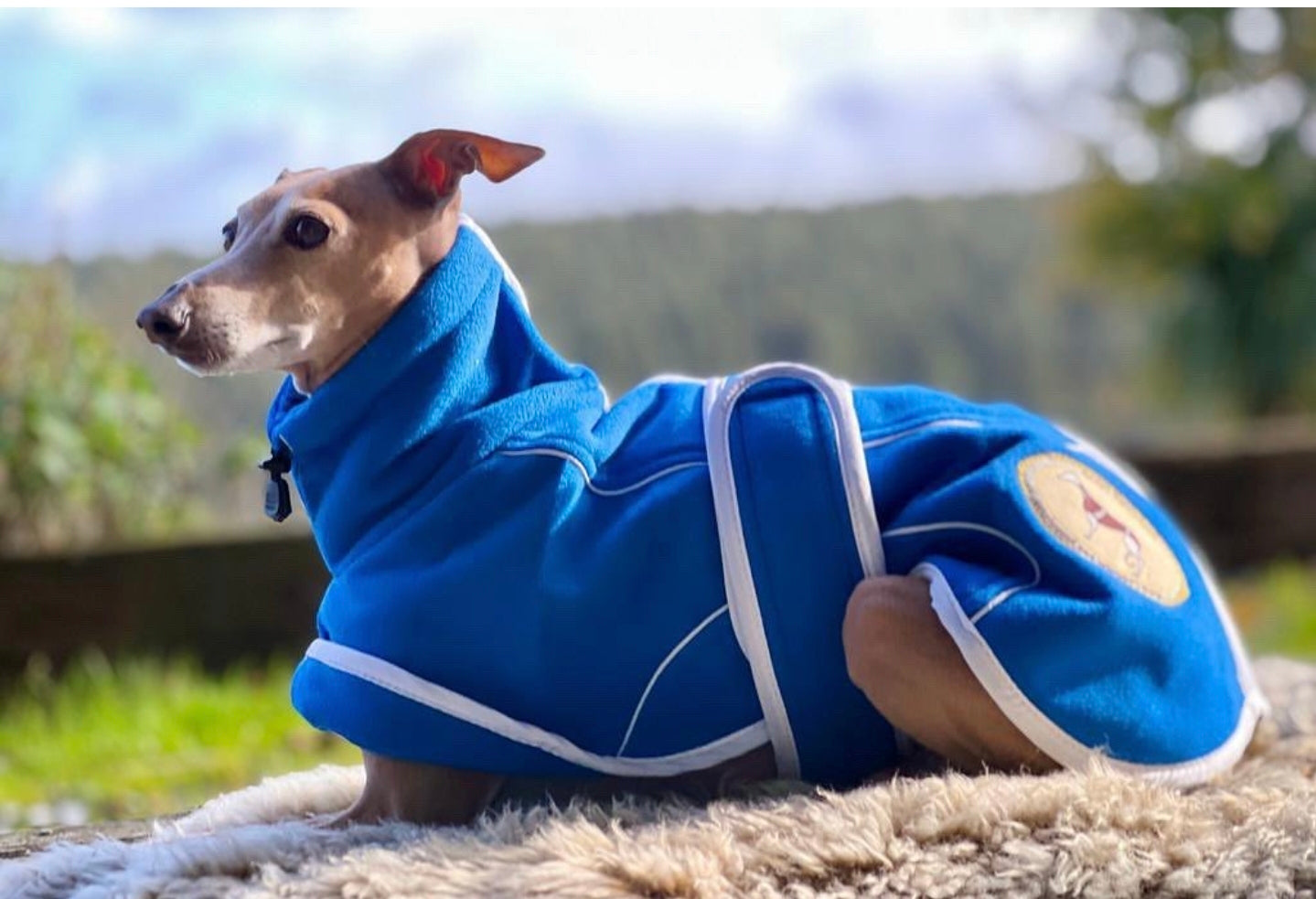 Royal Blue Fleece Housecoat for Greyhounds and whippets - the fleece housecoat collection