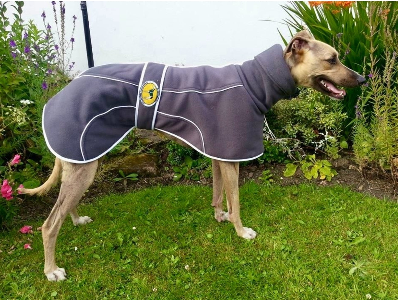 Slate Grey Fleece Housecoat for Greyhounds and whippets - the fleece housecoat collection