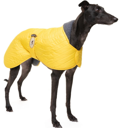 Sunny Yellow Quilted Jacket for Greyhounds - the premium quilted collection