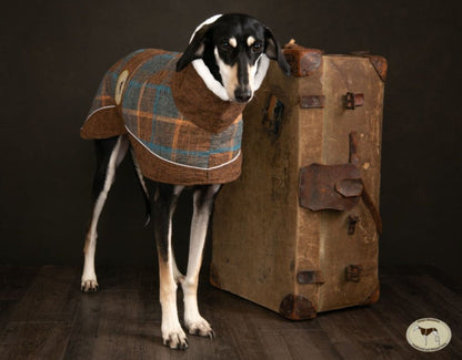 Maple tweed coat for whippets - the luxury tweed collection