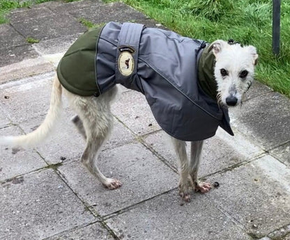 Waterproof Padded Luxury Jacket for Greyhounds Green/Grey- the luxury winter jacket collection