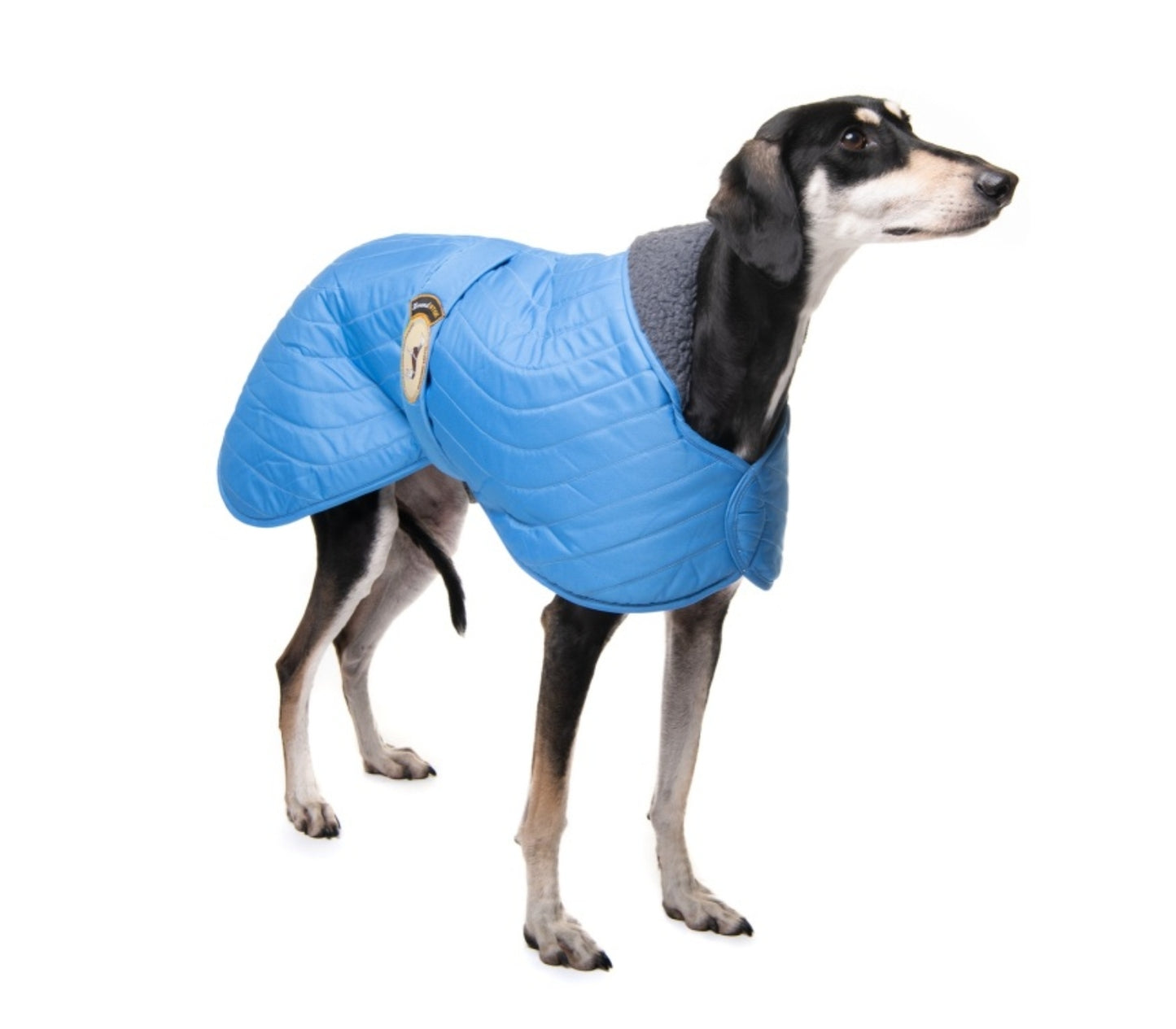 Sky Blue Quilted Jacket for Greyhounds - the premium quilted collection