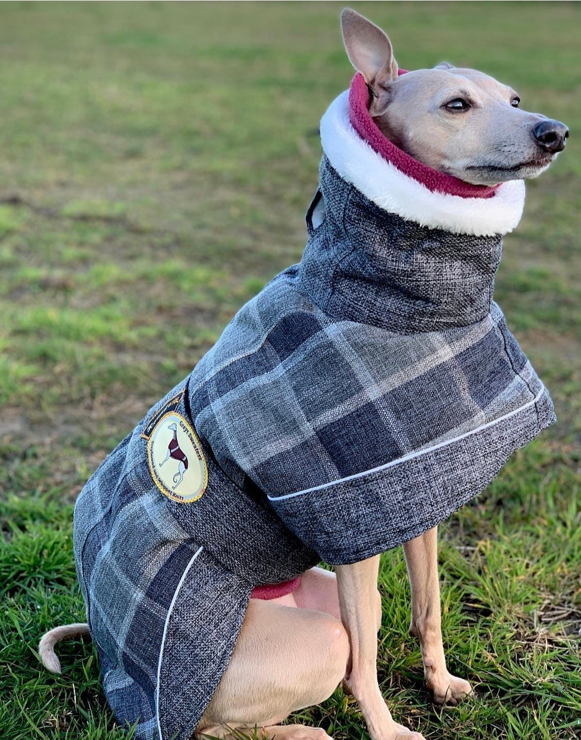 Ash Tweed coat for greyhounds-the luxury tweed collection