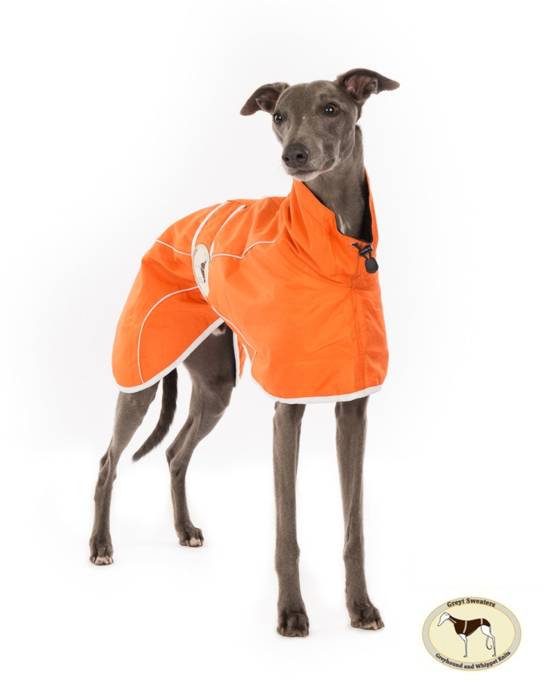 Rain mac for Italian greyhounds - the waterproof rain mac collection