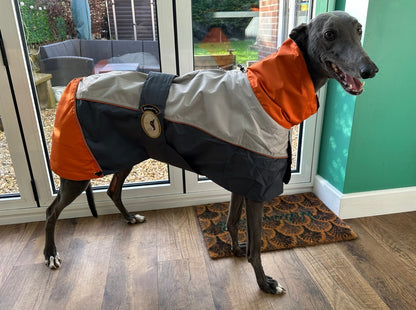 Rain coat for whippets, grey/orange - the waterproof rain coat collection