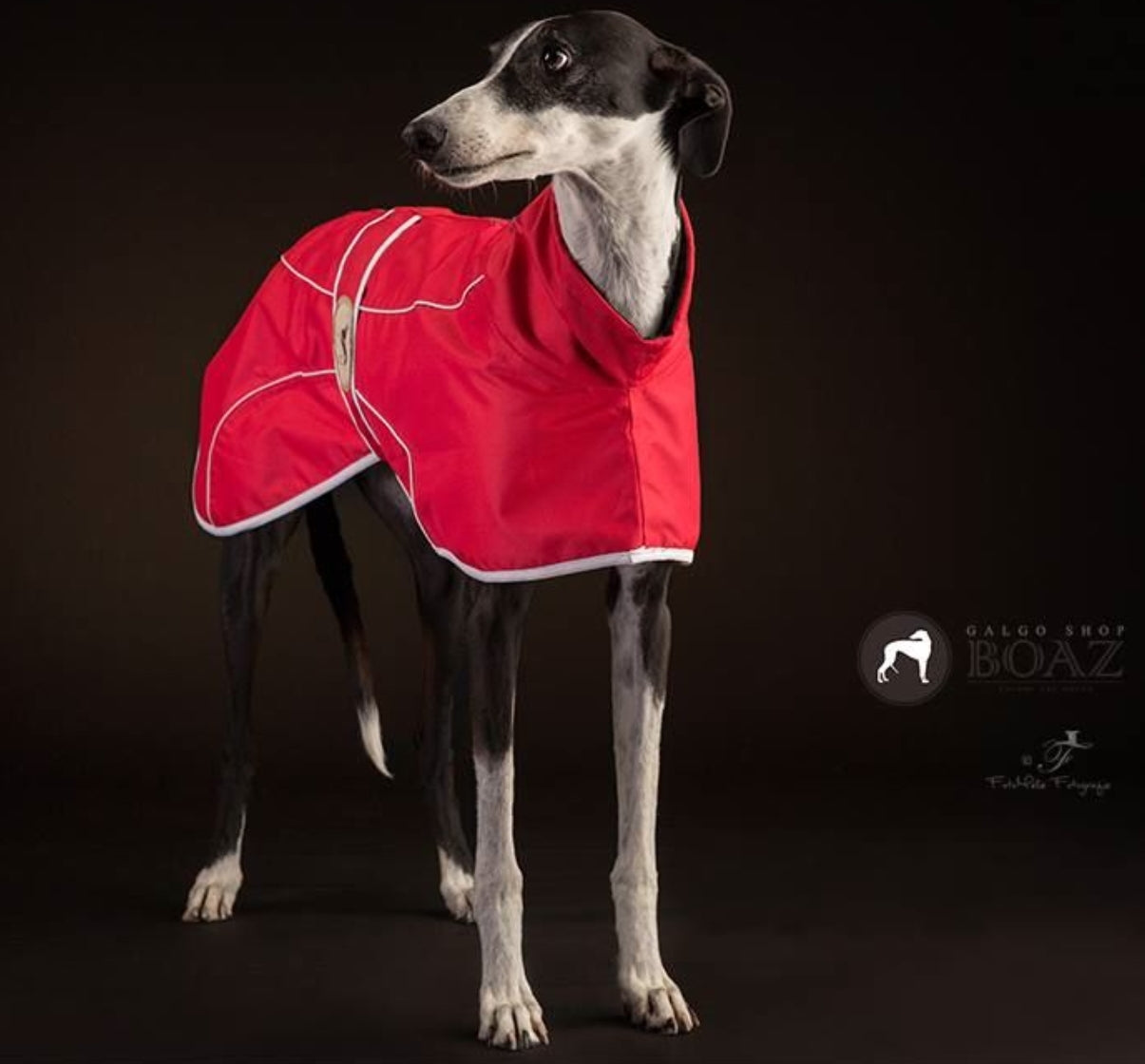 Crimson Red Rain Mac for Greyhounds - the waterproof rain mac collection