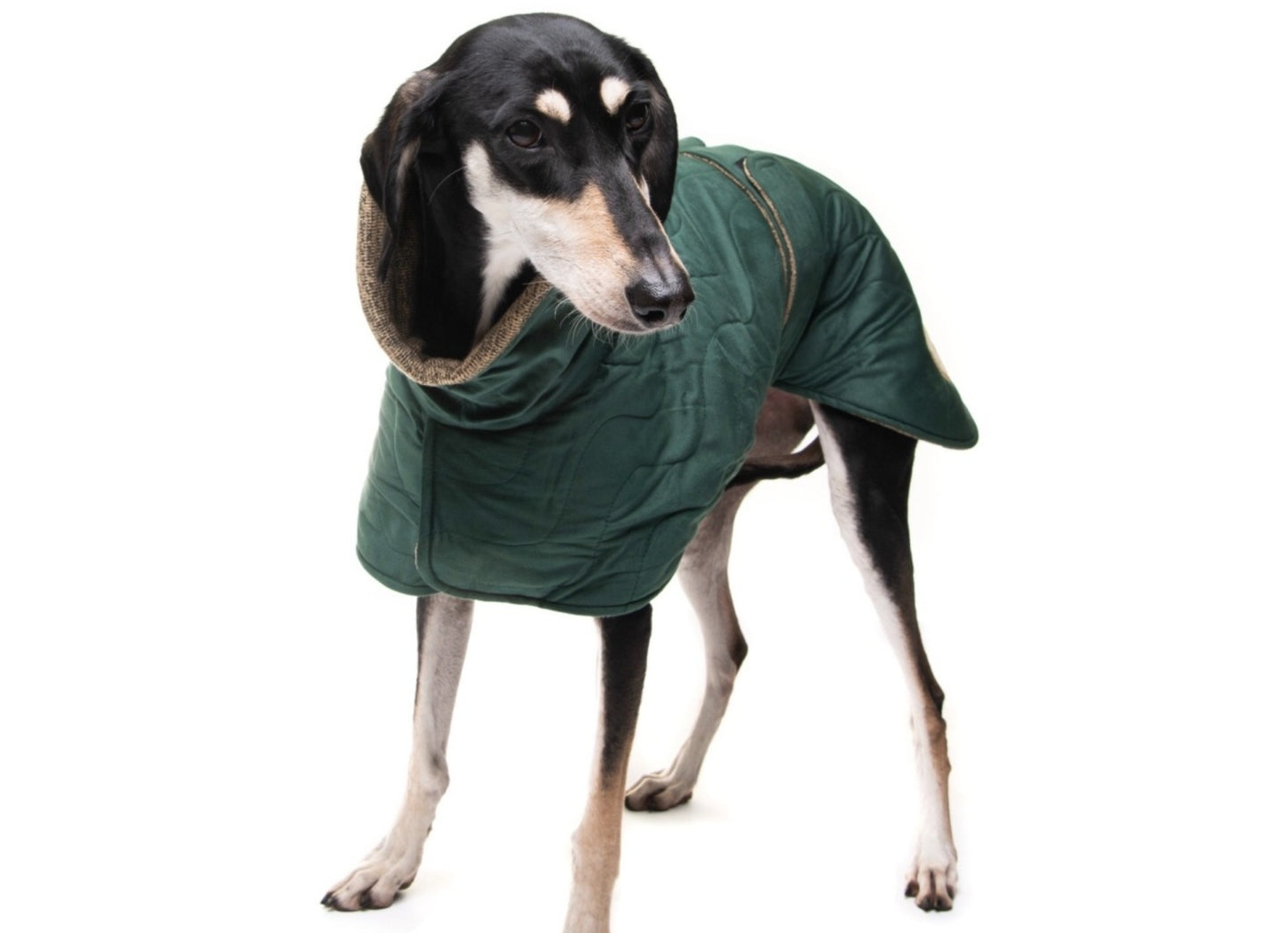 The Emerald velvet knit jacket for greyhounds - the luxury regal collection