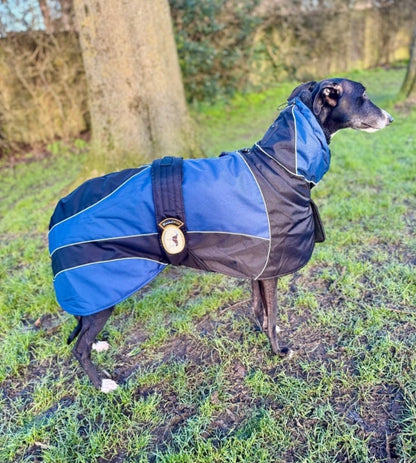 Waterproof Padded Luxury Jacket; Black/Indigo for Greyhounds - the luxury winter jacket collection