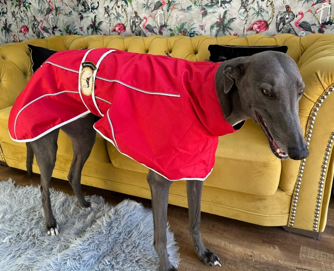 Rain mac for Italian greyhounds - the waterproof rain mac collection