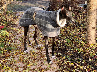 Ash Tweed coat for greyhounds-the luxury tweed collection