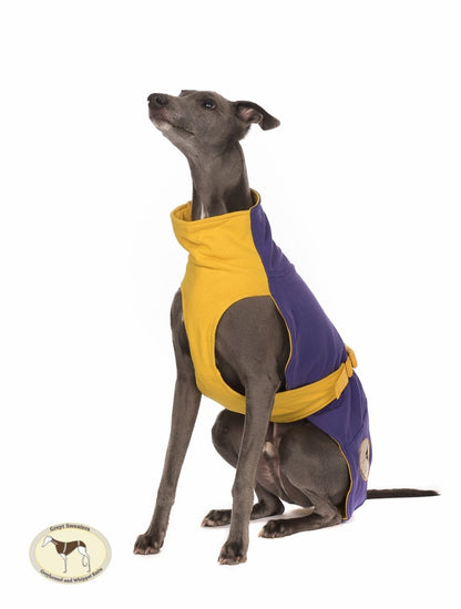 Sweat/Tee shirt for greyhounds, purple+yellow - the sweat tee shirt collection