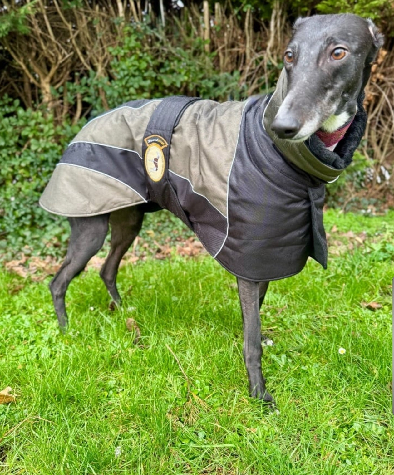 Waterproof Padded Luxury Jacket; Black/Khaki for Whippets - the luxury winter jacket collection