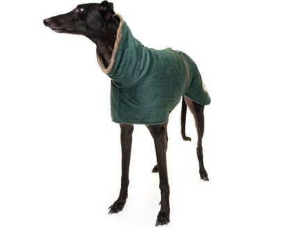 Emerald velvet knit jackets for whippets - the luxury regal collection