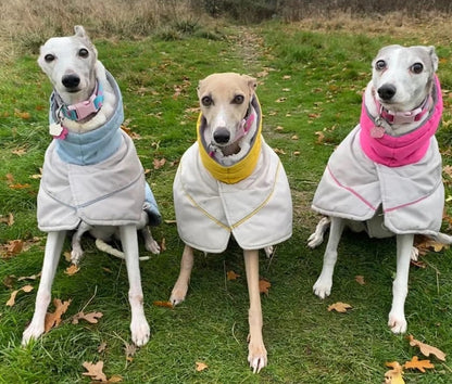 Waterproof Padded Luxury Jacket for Greyhounds sky blue /grey - the luxury winter jacket collection