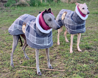 Ash Tweed coat for greyhounds-the luxury tweed collection