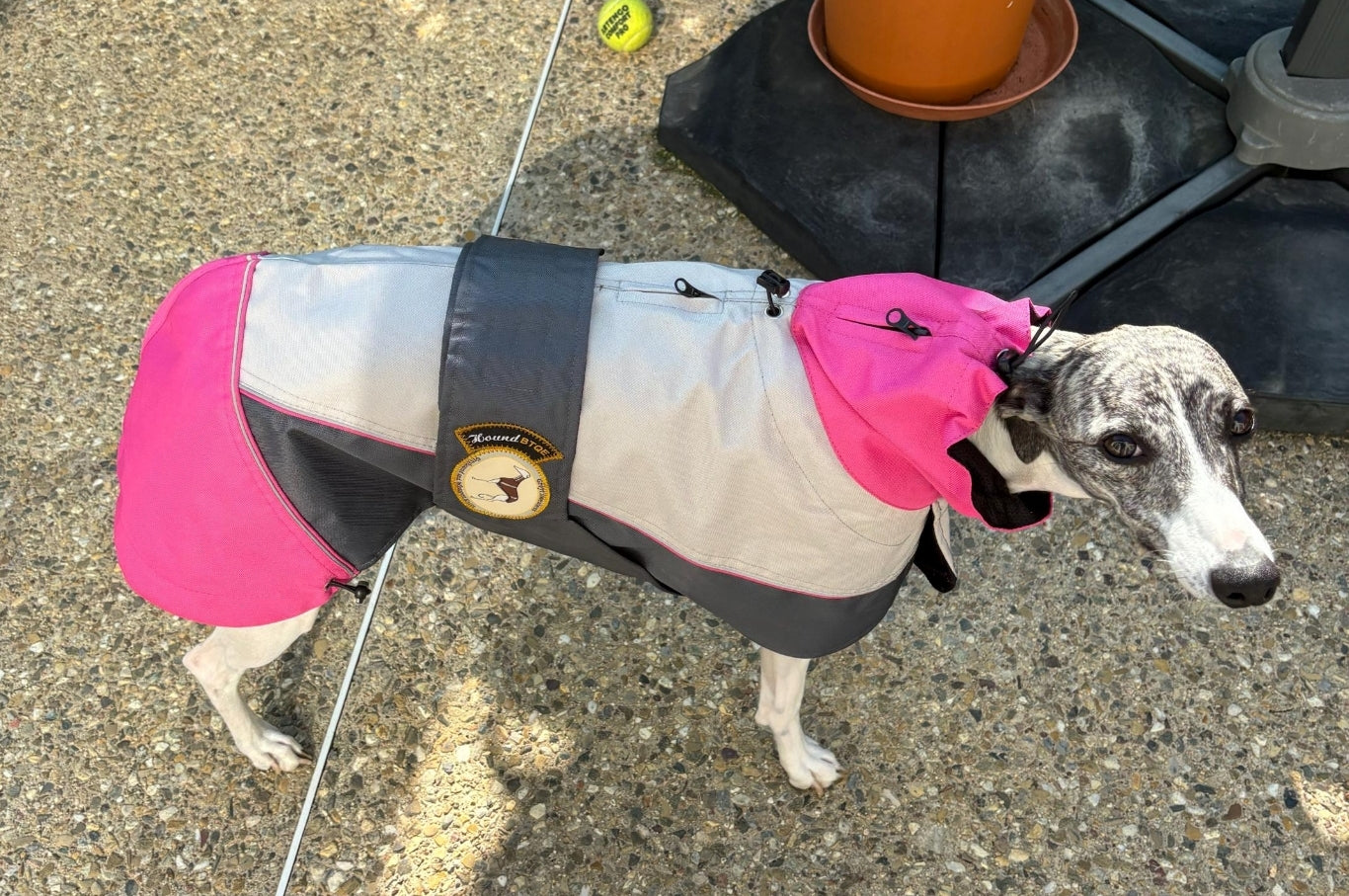 Rain coat for greyhounds grey/pink - the waterproof rain coat collection