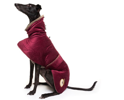 Ruby velvet knit jacket for whippets - the luxury regal collection