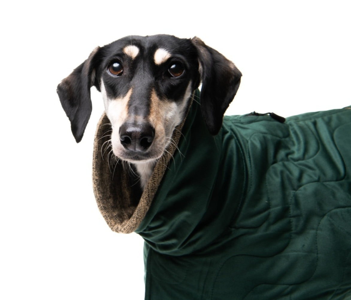 Emerald velvet knit jackets for whippets - the luxury regal collection