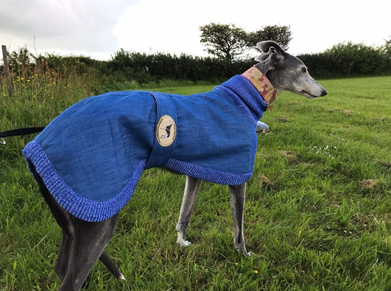 Blue or Indigo Denim/Knit Sweaters for Greyhounds+Whippets - the denim housecoat collection