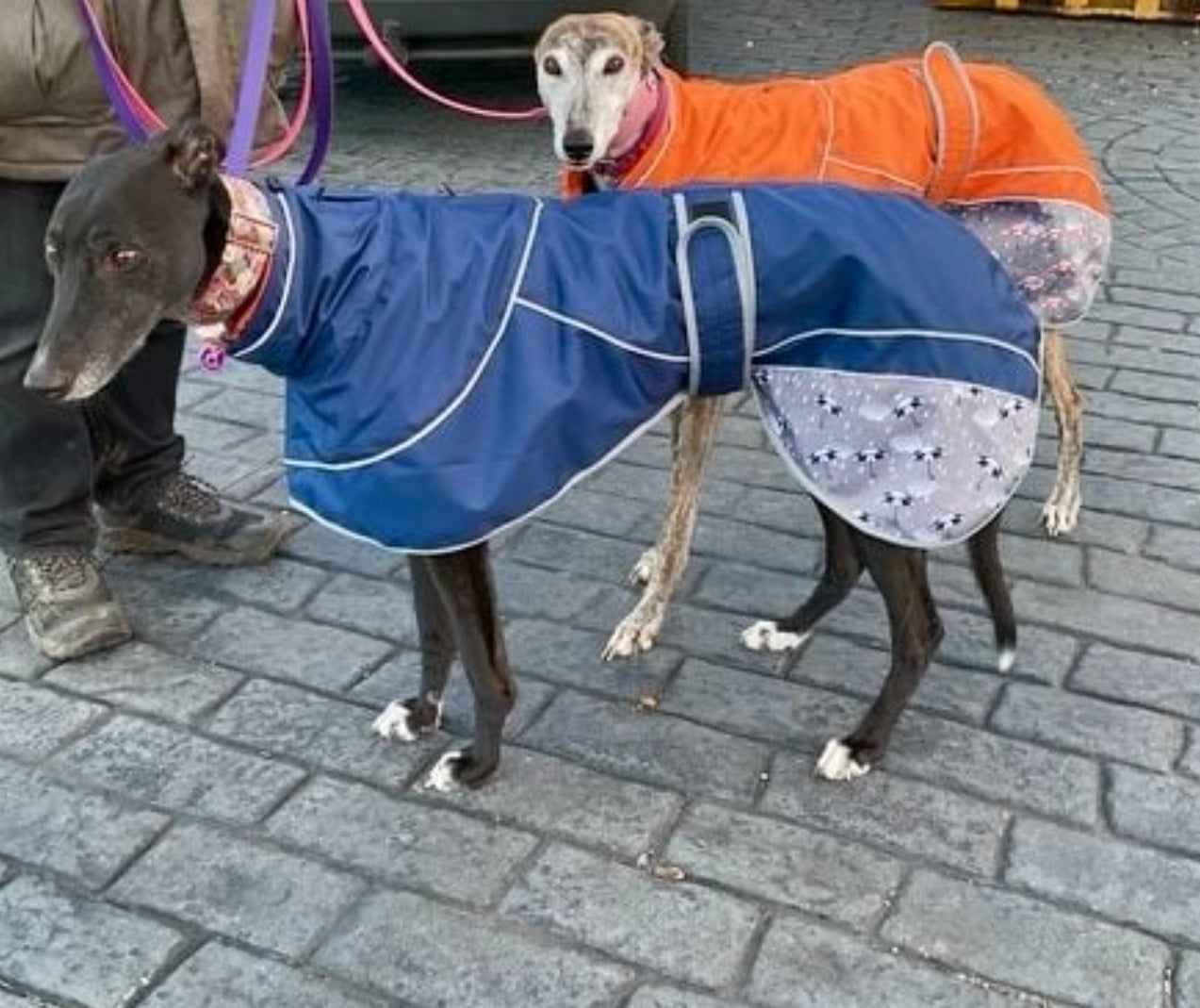 Navy Blue Umbrella Print Rain Mac for Greyhounds - the waterproof rain mac collection