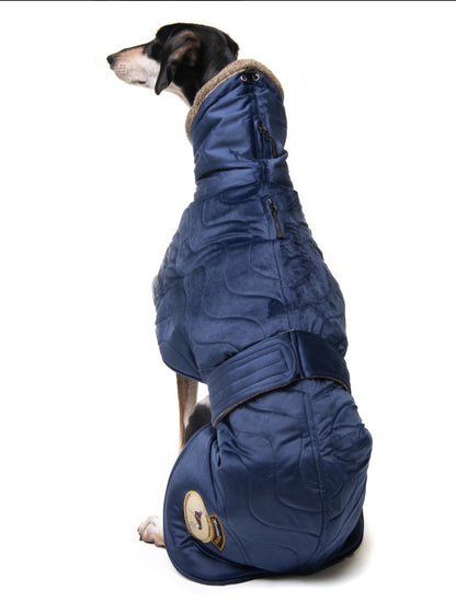 Sapphire velvet knit jacket for greyhounds - the luxury regal collection