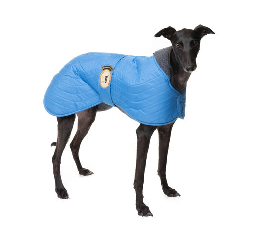 Sky Blue Quilted Jacket for Greyhounds - the premium quilted collection